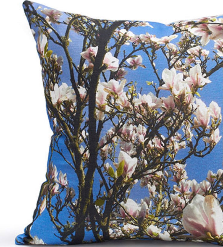 Joie De Vivre Cushions